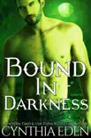 Bound in Darkness synopsis, comments
