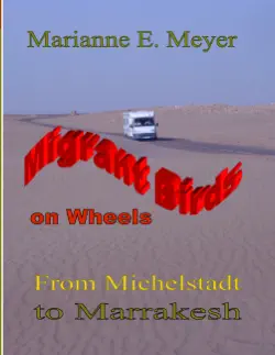migrant birds on wheels book cover image