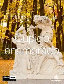 cupido enamorado book cover image