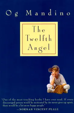 twelfth angel book cover image