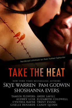 take the heat: a criminal romance anthology imagen de la portada del libro