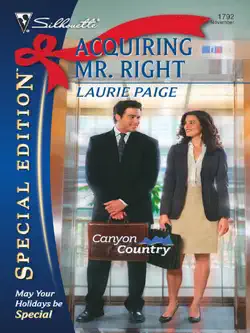 acquiring mr. right book cover image