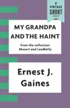 My Grandpa and the Haint book summary, reviews and download