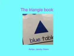 the triangle book book cover image