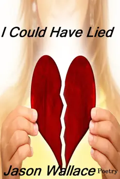 i could have lied book cover image