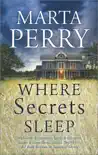 Where Secrets Sleep synopsis, comments