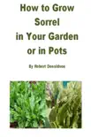 How to Grow Sorrel in Your Garden or in Pots synopsis, comments