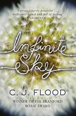 infinite sky imagen de la portada del libro