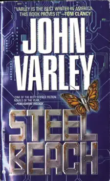 steel beach book cover image