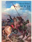 Galicja 1914-1915 synopsis, comments