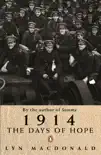 1914 sinopsis y comentarios