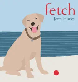 fetch book cover image