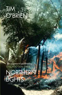 northern lights imagen de la portada del libro