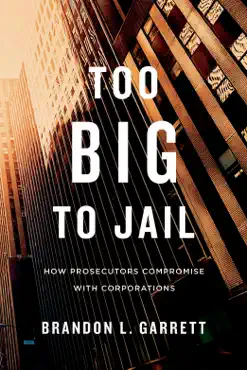 too big to jail book cover image