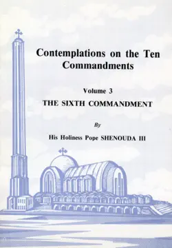 contemplations on the ten commandments vol. 3 book cover image