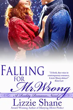 falling for mister wrong book cover image