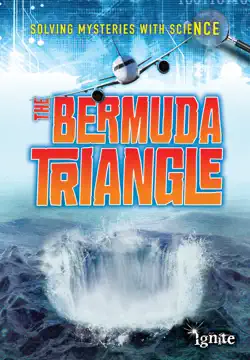 the bermuda triangle book cover image