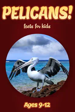 pelican facts for kids 9-12 book cover image