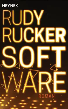 software book cover image