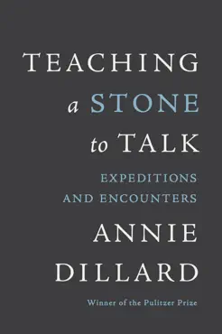 teaching a stone to talk book cover image