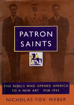 patron saints book cover image