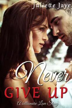 never give up (a billionaire love story) book cover image