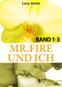 mr. fire und ich - band 1-3 book cover image