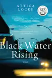Black Water Rising synopsis, comments
