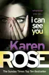 I Can See You (The Minneapolis Series Book 1) sinopsis y comentarios