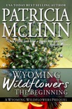 Wyoming Wildflowers: The Beginning book summary, reviews and downlod