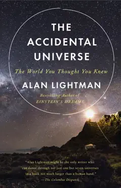 the accidental universe book cover image