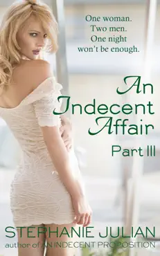 an indecent affair part iii book cover image