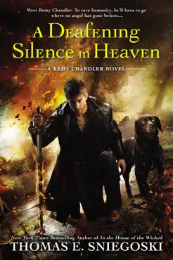 a deafening silence in heaven book cover image