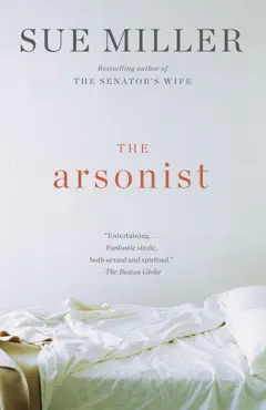 the arsonist book cover image