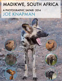 madikwe, south africa book cover image