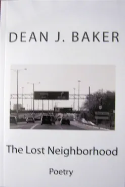 the lost neighborhood book cover image