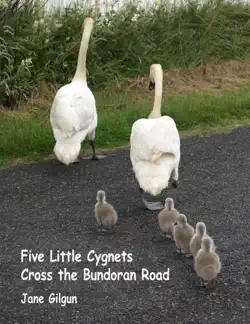 five little cygnets cross the bundoran road book cover image