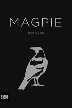 magpie book cover image