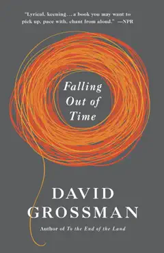 falling out of time book cover image