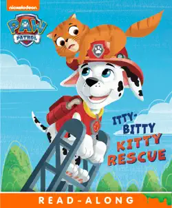 itty bitty kitty rescue book cover image