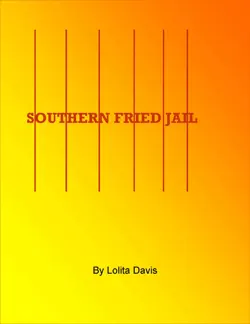 southern fried jail book cover image