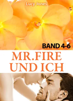 mr. fire und ich - band 4-6 book cover image