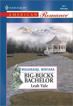 big-bucks bachelor book cover image