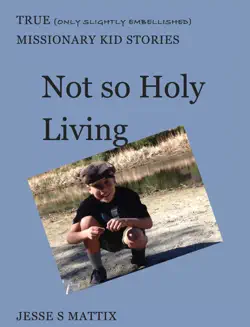 not so holy living book cover image