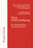 Pikett Strafverteidigung synopsis, comments