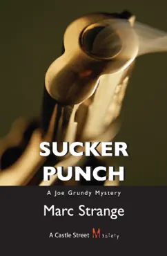 sucker punch book cover image