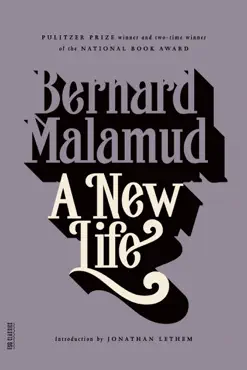 a new life book cover image