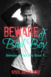 Beware of Bad Boy synopsis, comments