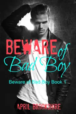 beware of bad boy imagen de la portada del libro