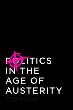 politics in the age of austerity book cover image